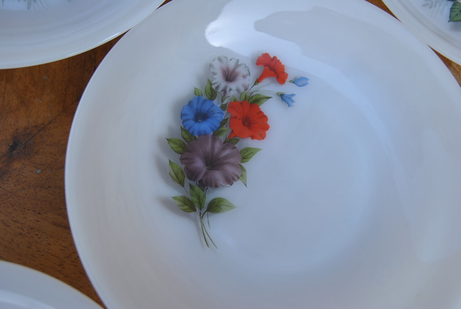 Set of 6 plates in arcopal 70