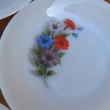 Set of 6 plates in arcopal 70