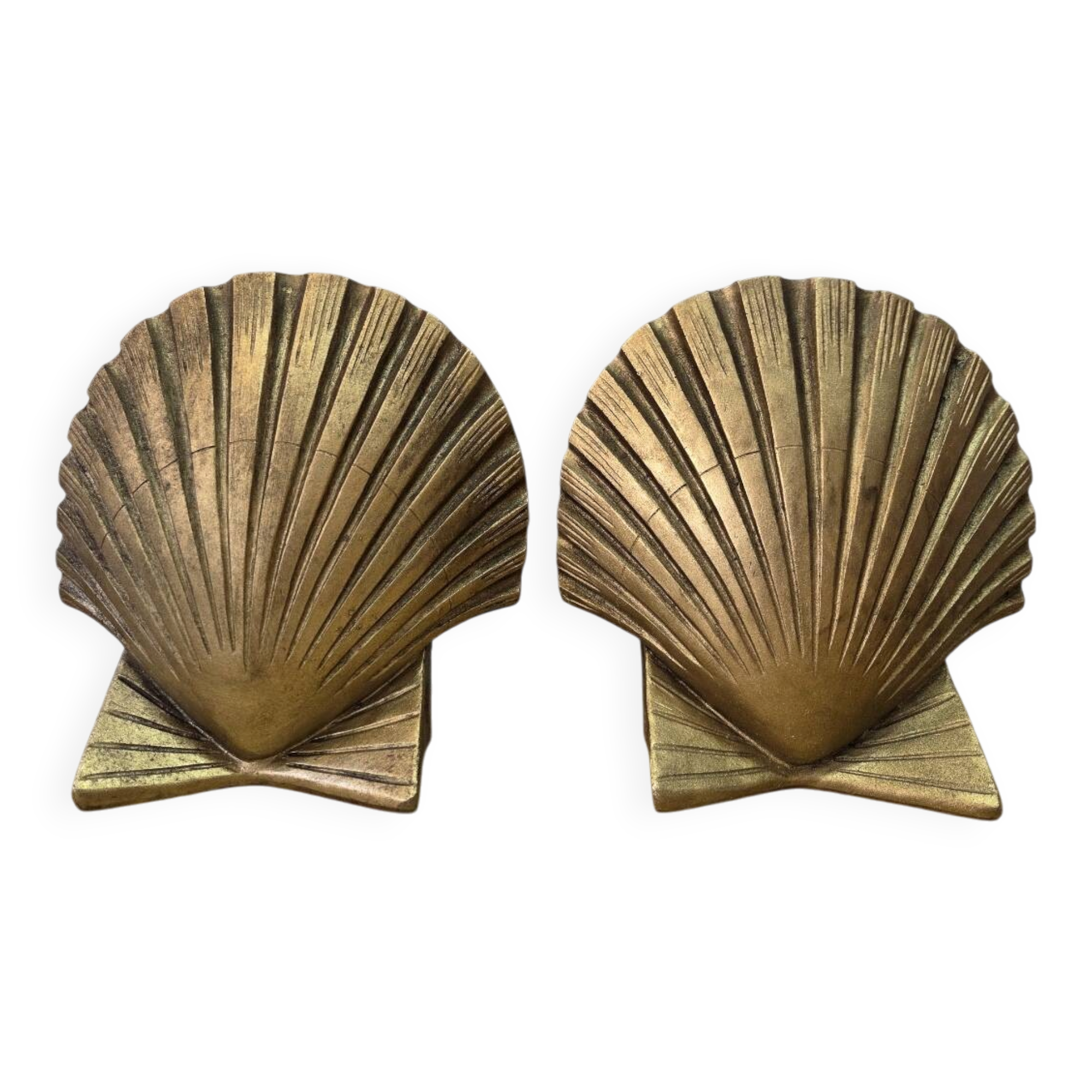 Pair of golden shell bookends