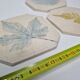 Three enamelled ceramic under glass, footprints of plants from Canada