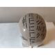 Cracked earthenware phrenology bust by Fowler