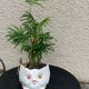 Cache pot owl glazed ceramic white slip earthenware siol Portugal