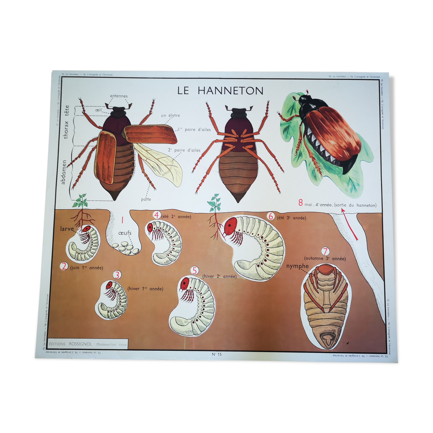 Former school poster Rossignol 50s crayfish spider ha