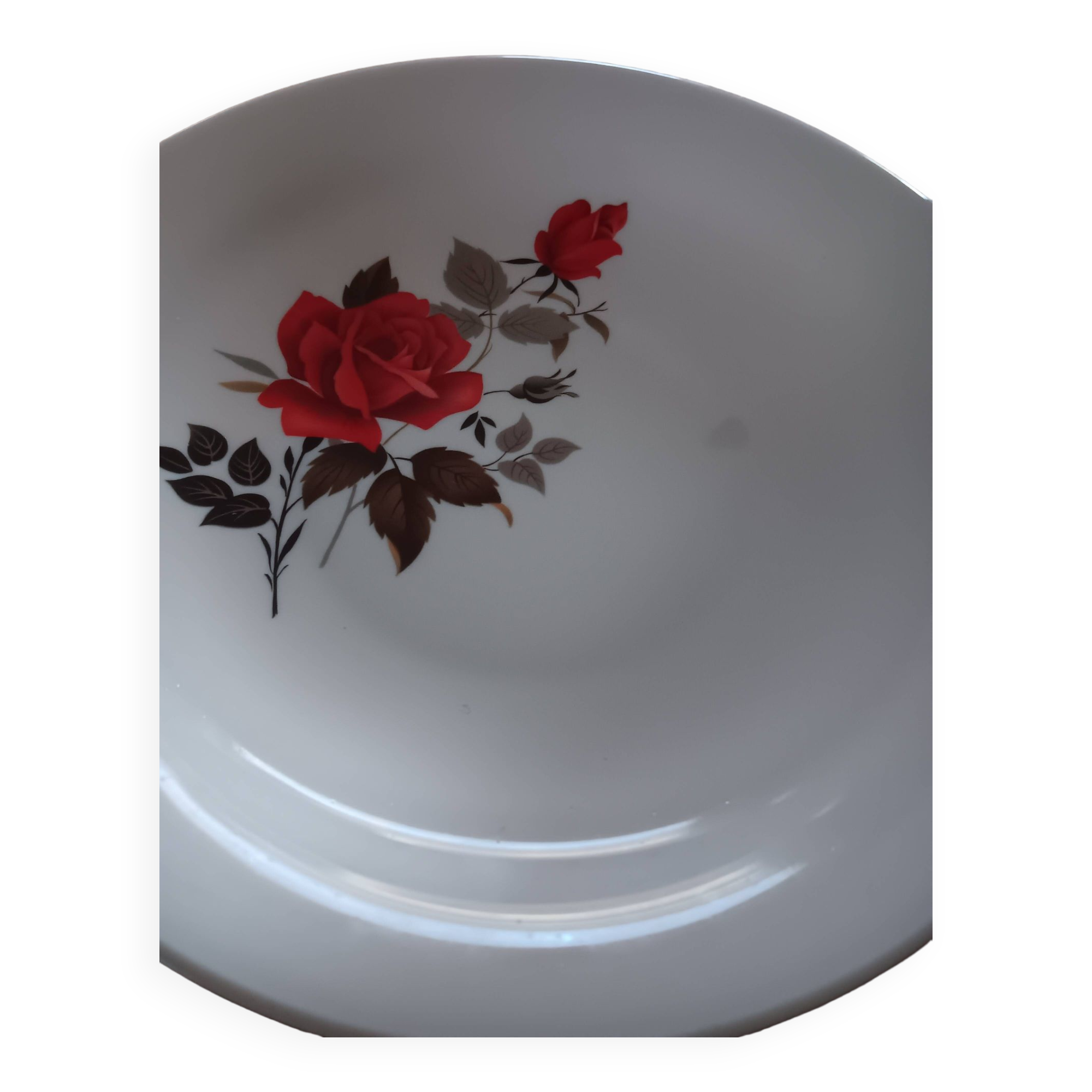 Set of 4 Arcopal soup plates