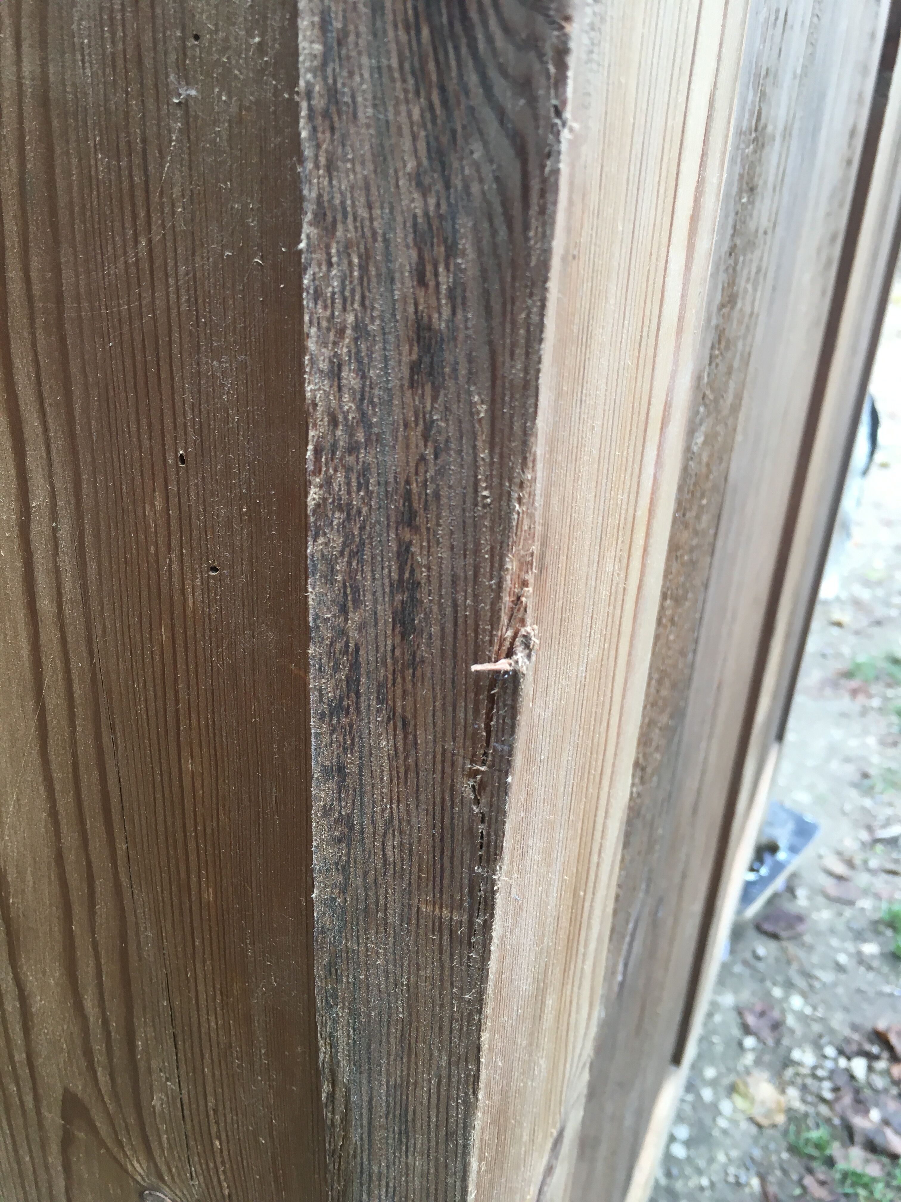 Wooden cabinet with interior doors