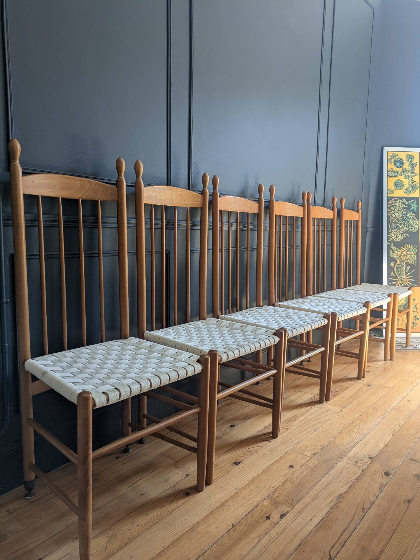 Rare ensemble de six chaises modele"Racine" de Roche Bobois.