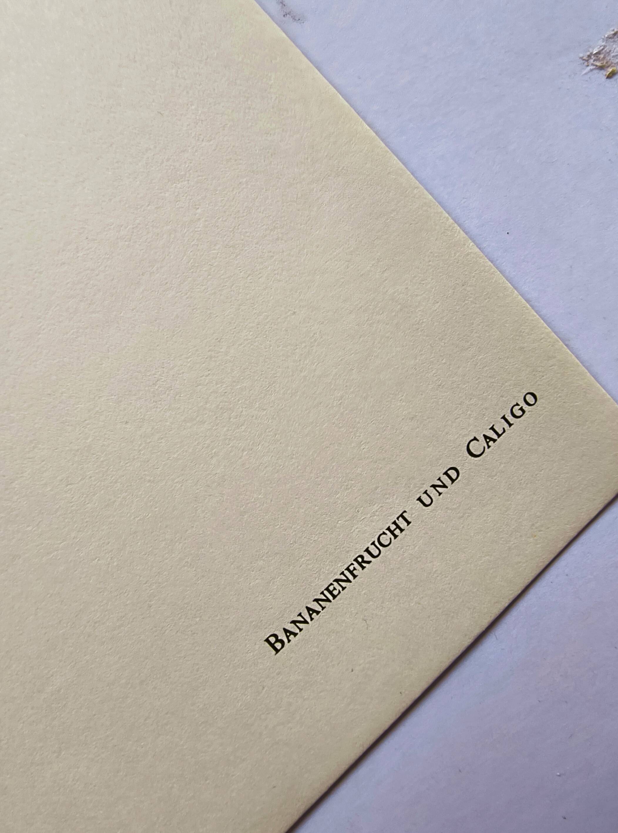 Tropical Butterflies by Merian - Original Plate - Vintage Illustration