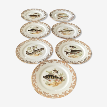 7 assiettes en porcelaine de limoges poisson