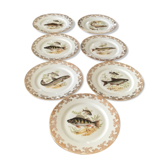 7 assiettes en porcelaine de limoges poisson