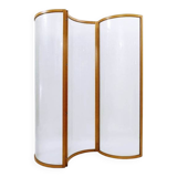 Glass Voyeur Screen / Room Divider by Vittorio Livi for Fiam - 1990s