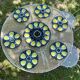 Oyster plates Quimper tableware or wall decoration