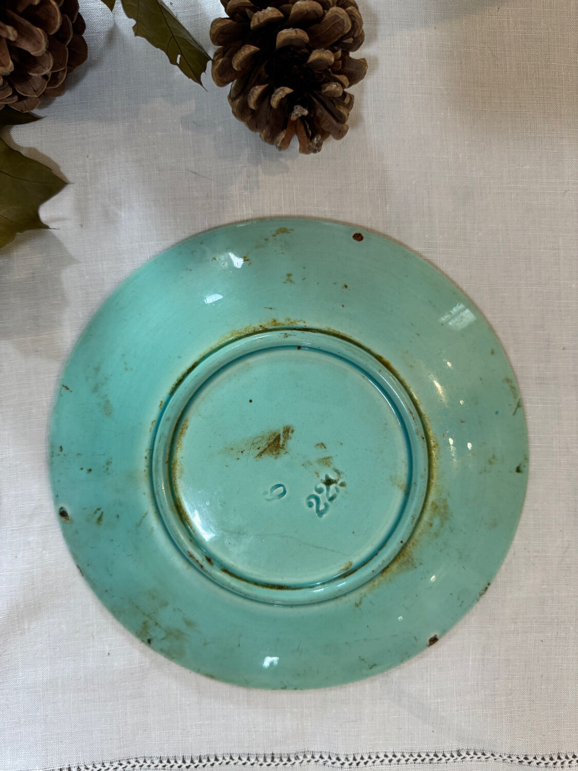 Rare scarab beetle plate