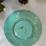 Rare scarab beetle plate