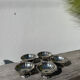 5 stainless steel cups 1970