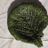 small dish of cabbage leaf slip