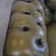 Green Vintage English Cowhide Leather Chesterfield 2-Seater Sofa