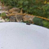 3 suspensions en tôles émaillées