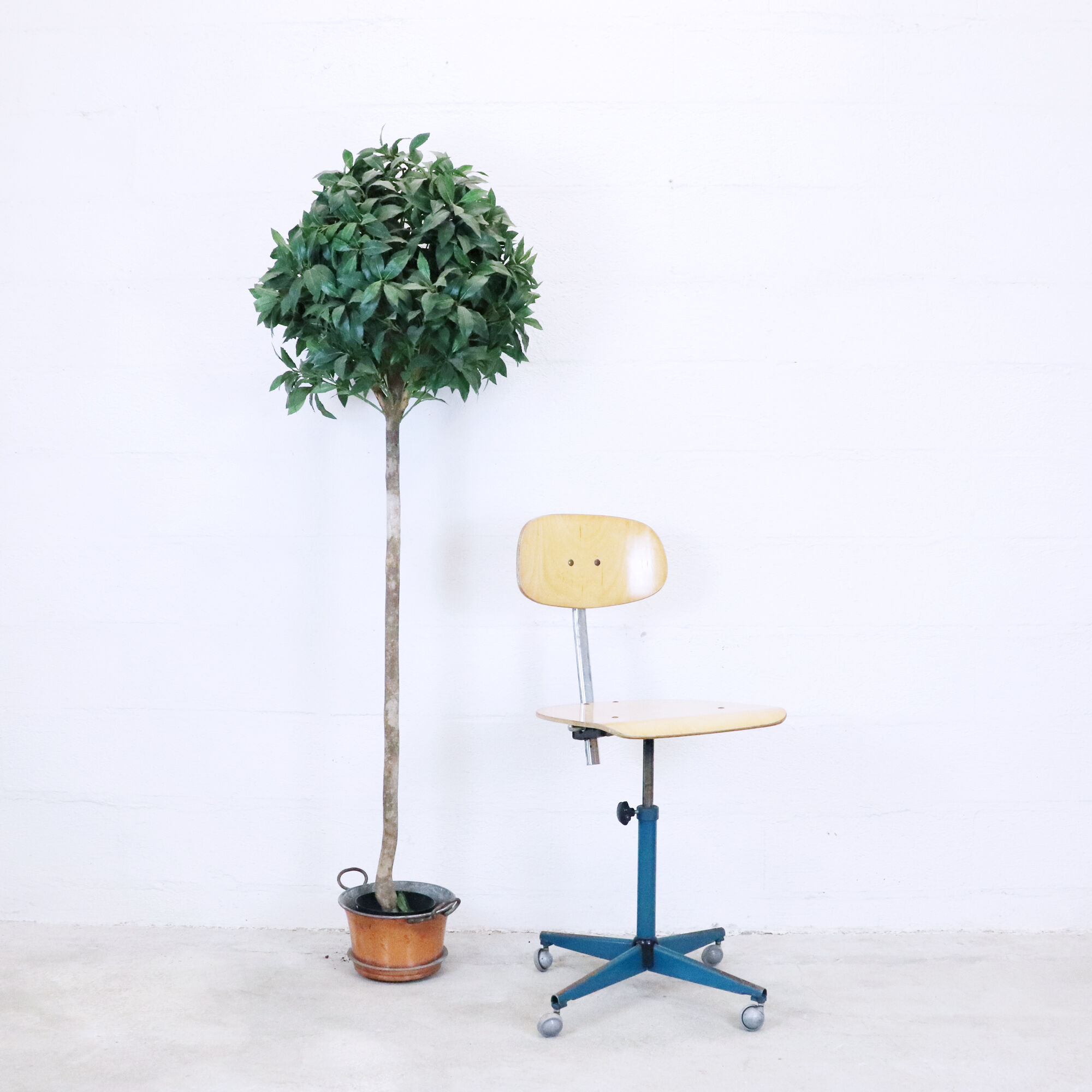 Roulette rotary architect chair