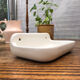Porcelain wall soap dish