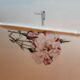 Barbotine style porcelain dish