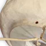 Lamp in moon rock composition