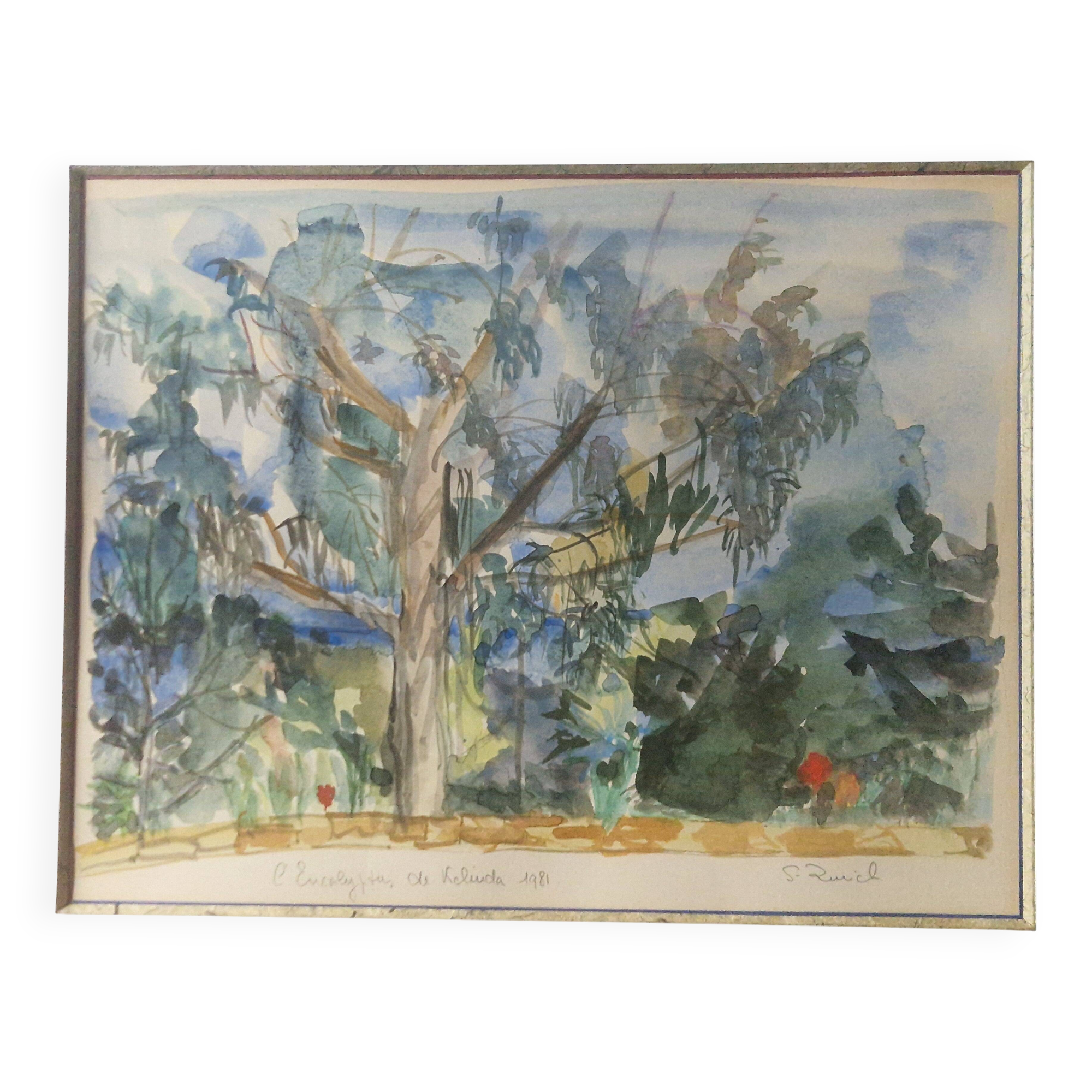 Watercolour 1981 "The Eucalyptus of Kelinda", signed S. Zurich and framed.