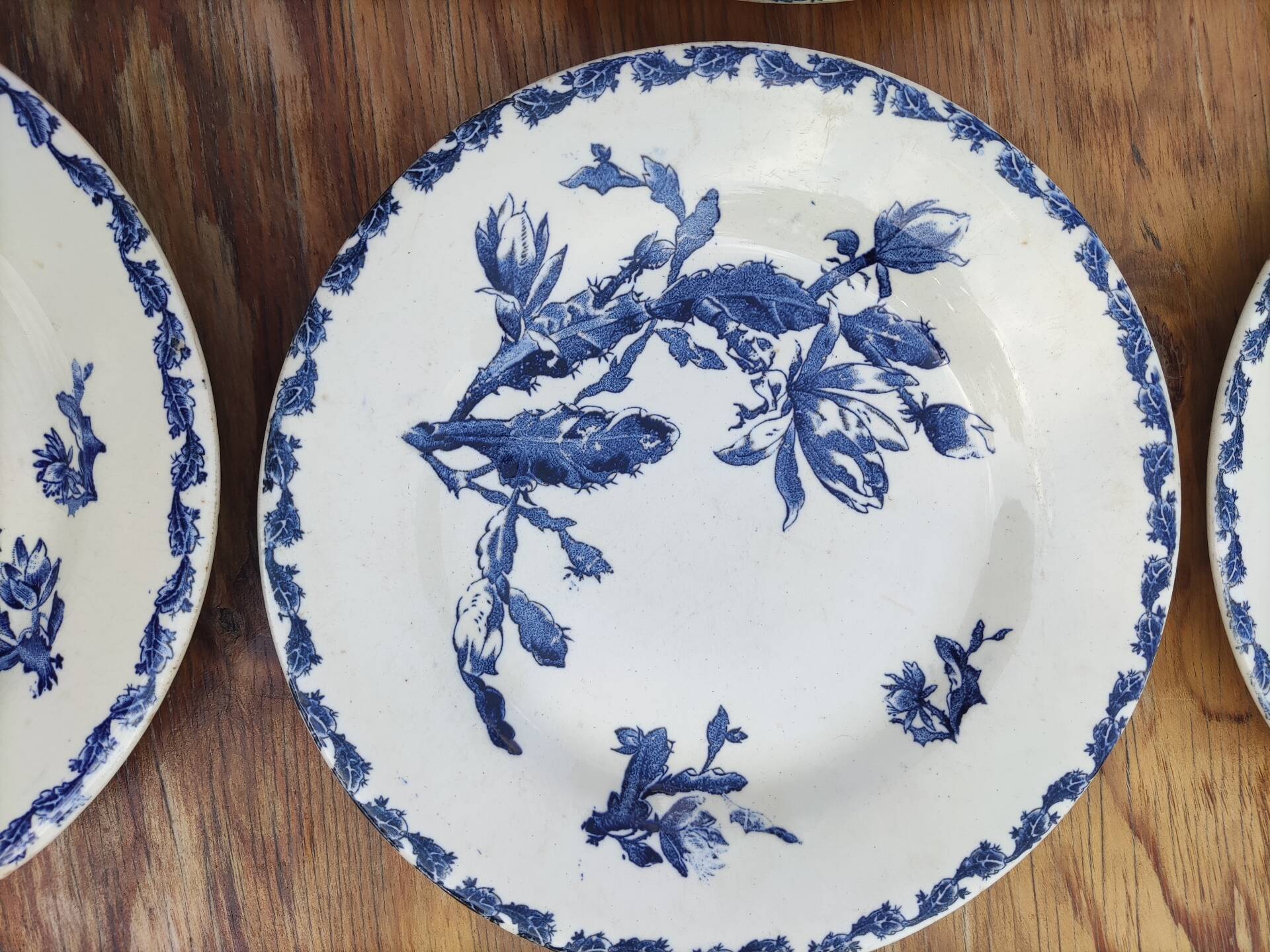 6 flat plates made of Gien earthenware - ironstone - cactus model