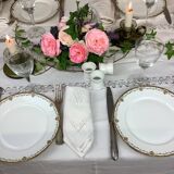 6 Limoges porcelain dinner plates