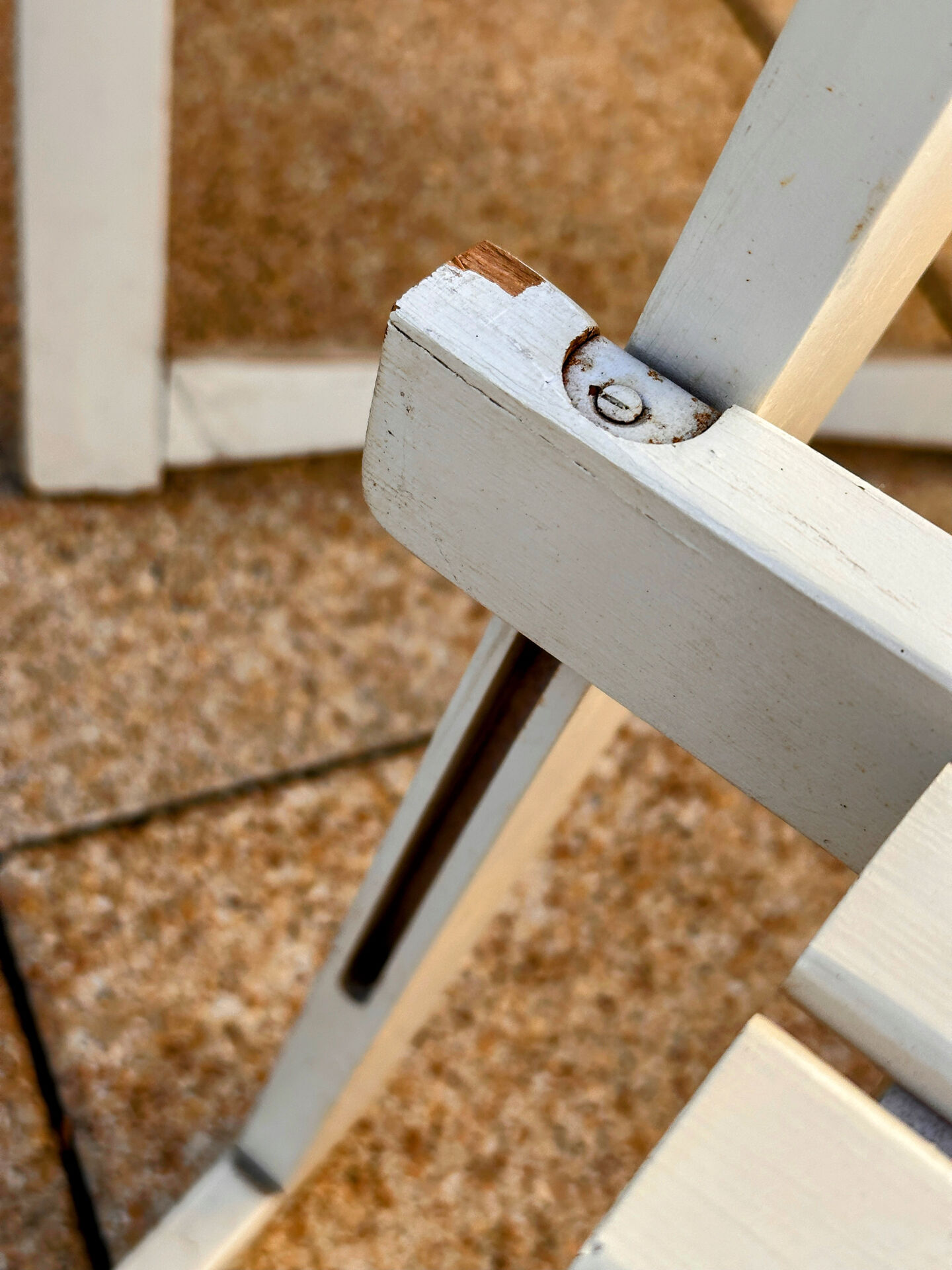 4 Trieste chairs by Aldo Jacober for Alberto Bazzani