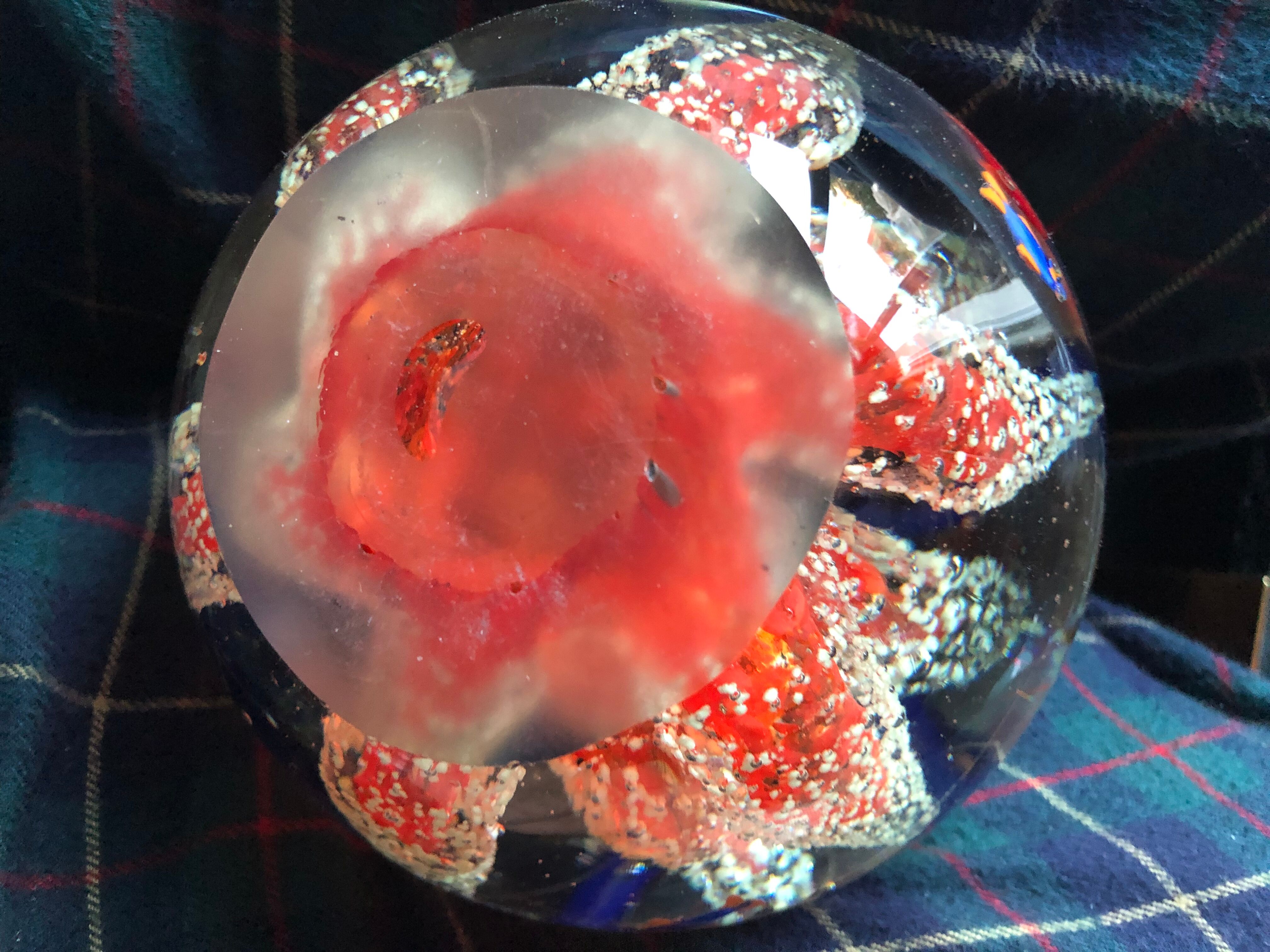 Murano glass ball paperweight Coral dolphins and fish