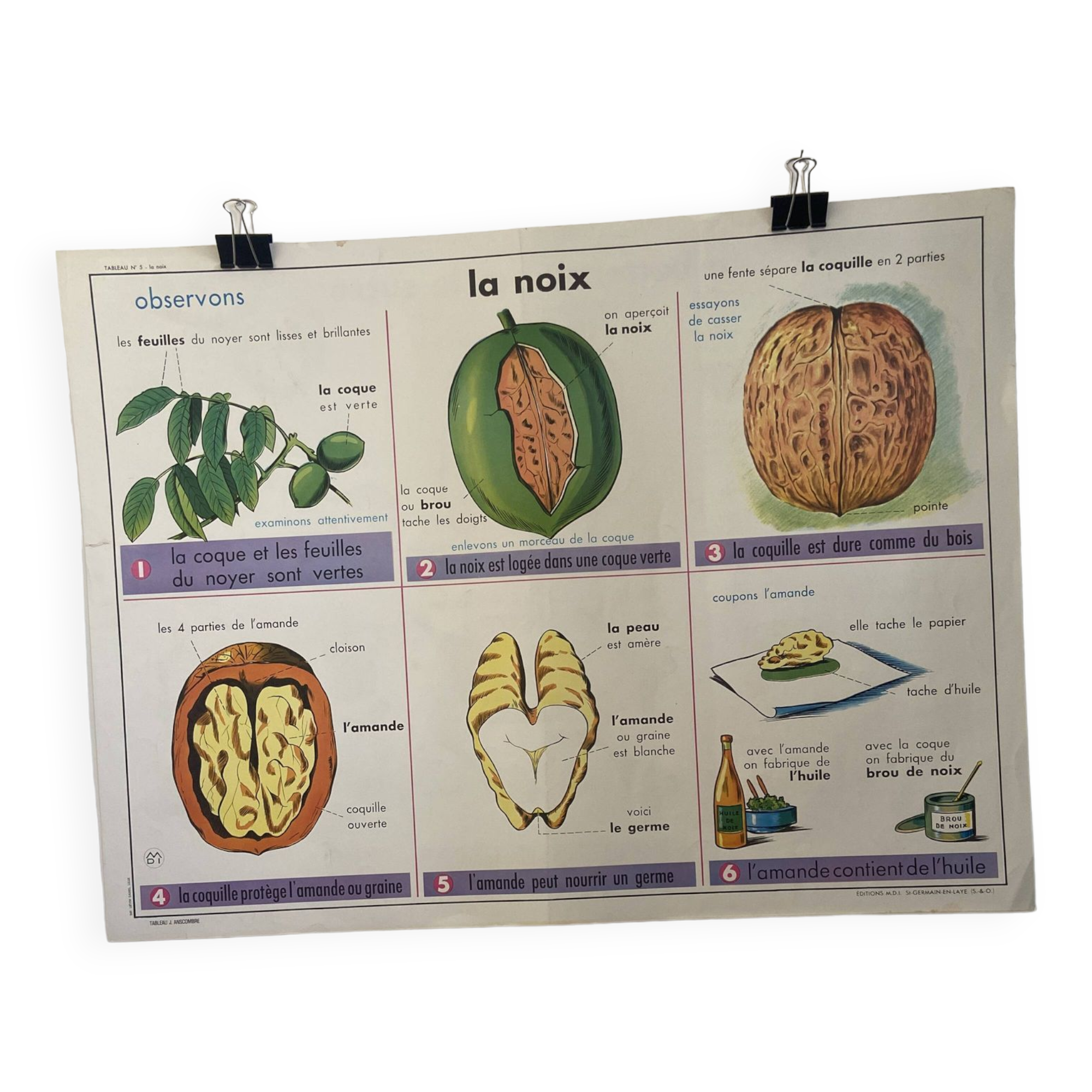 Vintage educational poster