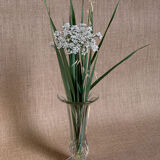 Old glass vase with open neck style 40s