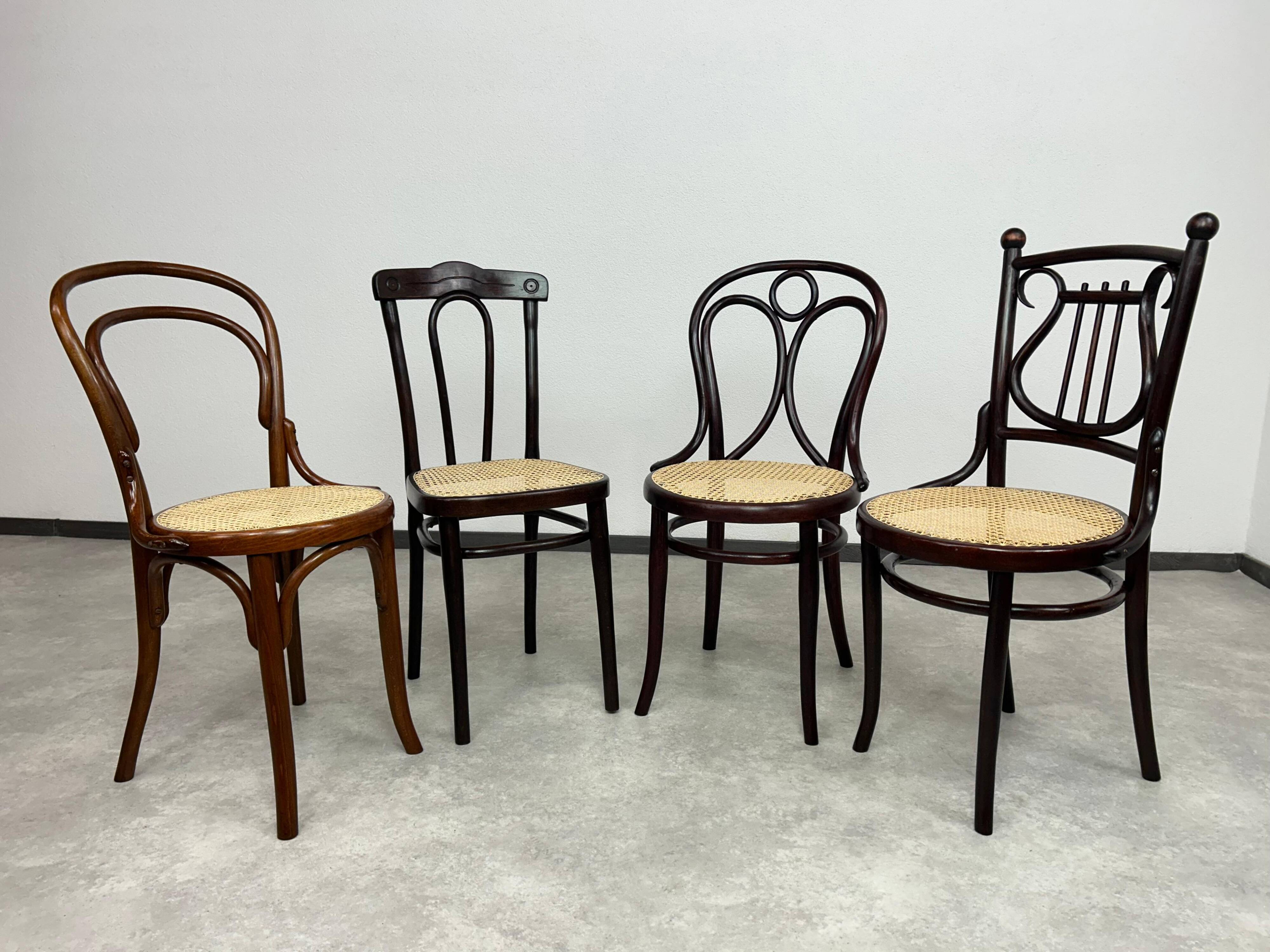 Bentwood dining chair No. 19 by Thonet