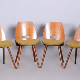 Set of four mid-century walnut chairs by Frantisek Jirak, Tatra Nabytok, Czechia, 1950s