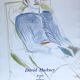 David hockney, galerie claude bernard, 1975. original exhibition poster