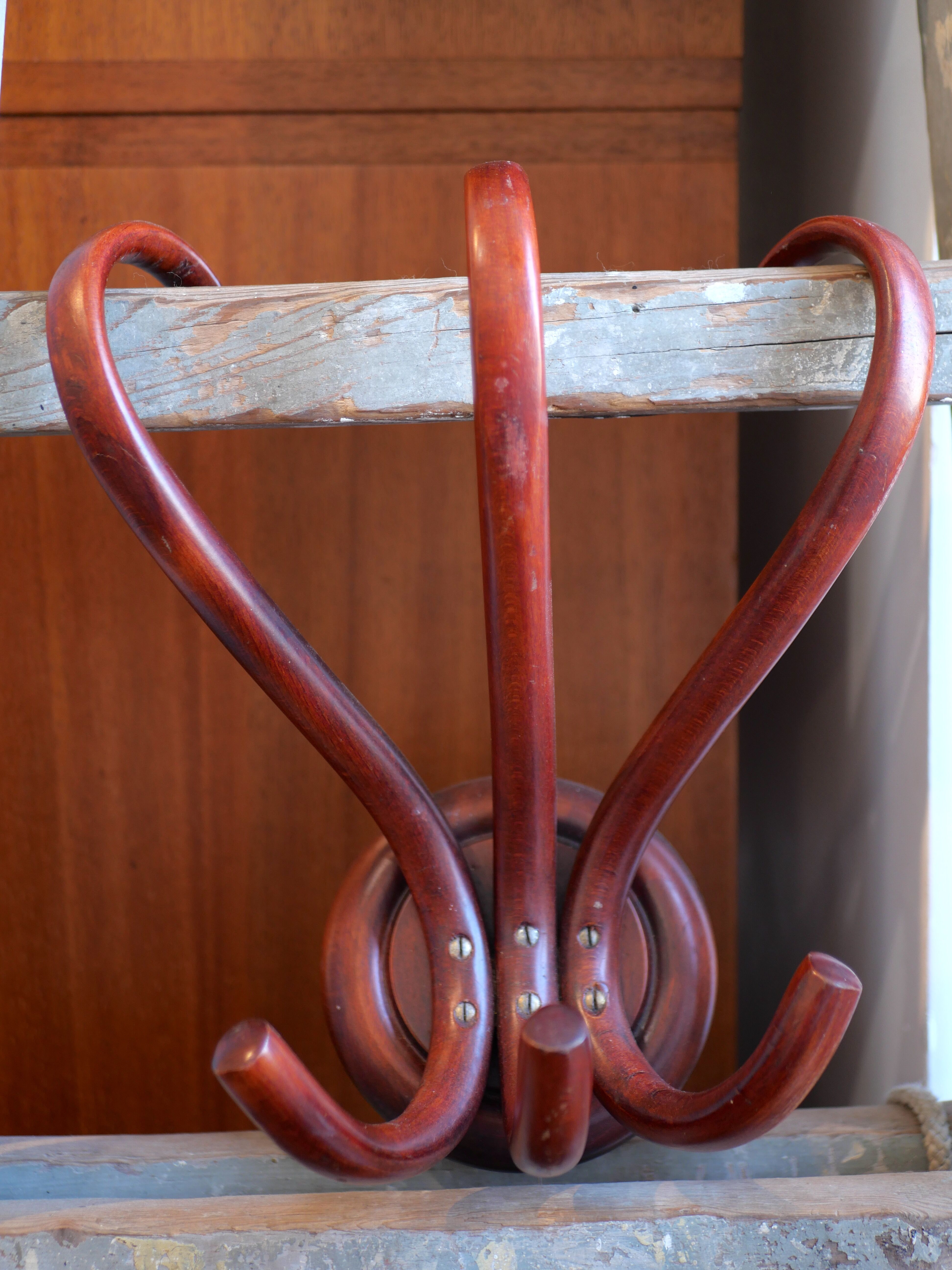 Patère en bois courbé Thonet