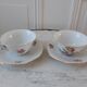 Duo of cups Limoges PN 60s