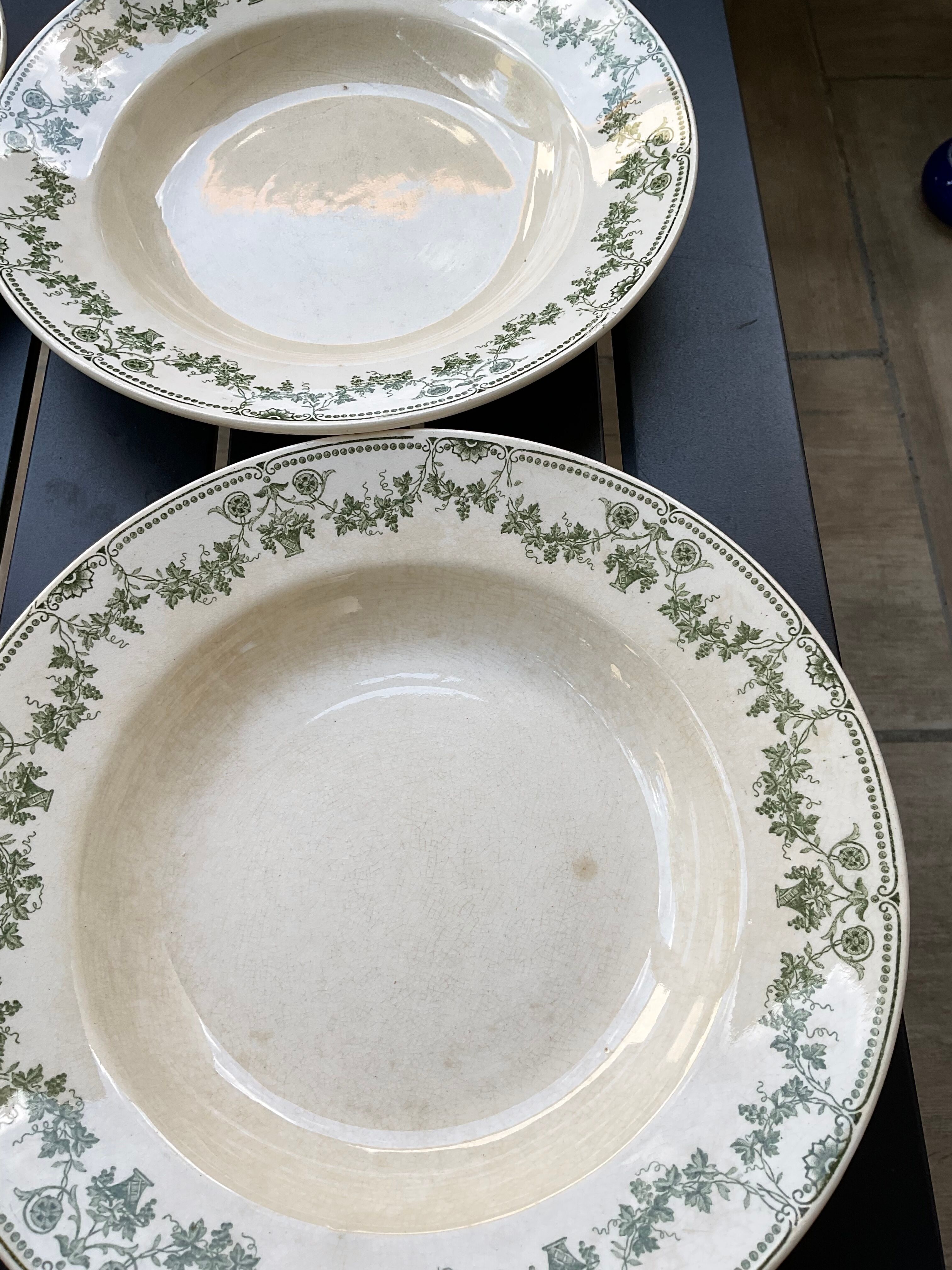 6 hollow plates badonvillers model champagne