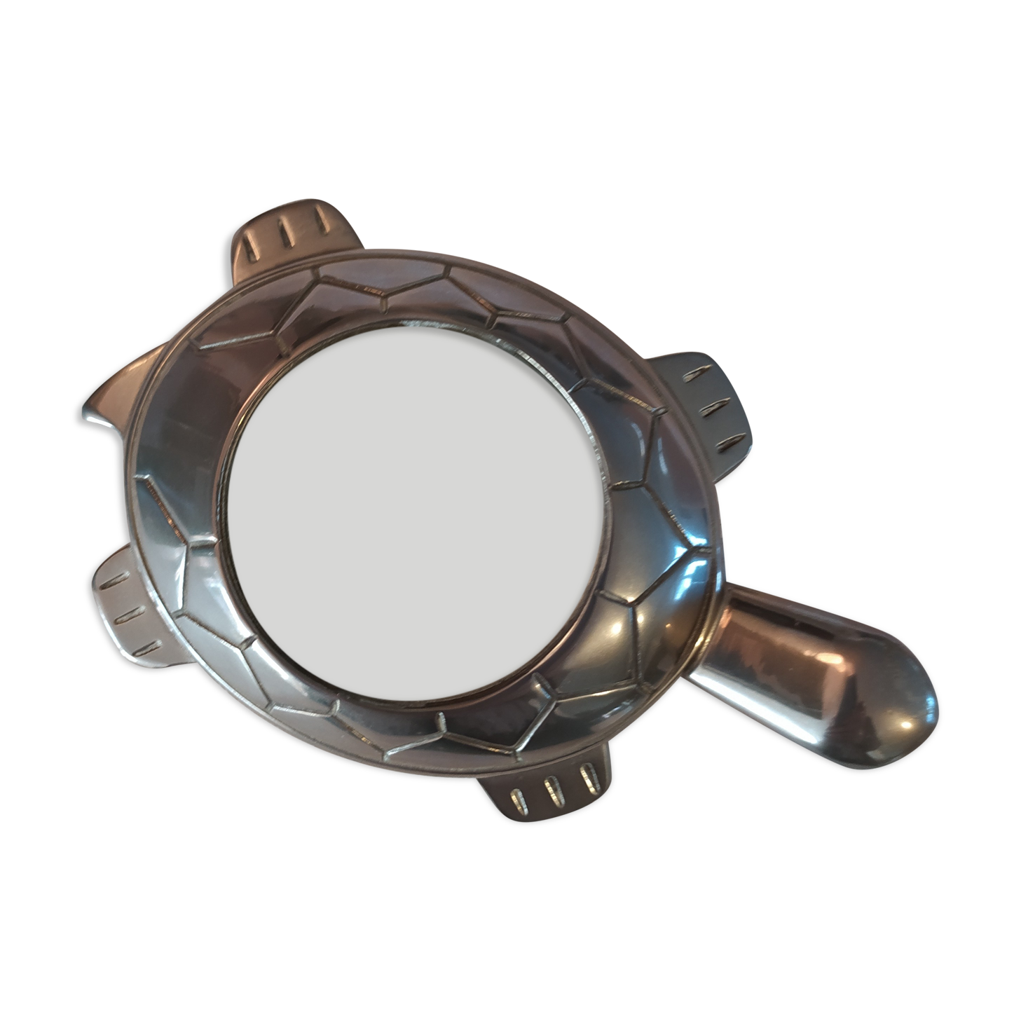Clipboard turtle magnifying glass