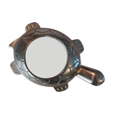 Clipboard turtle magnifying glass