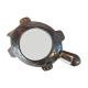Clipboard turtle magnifying glass