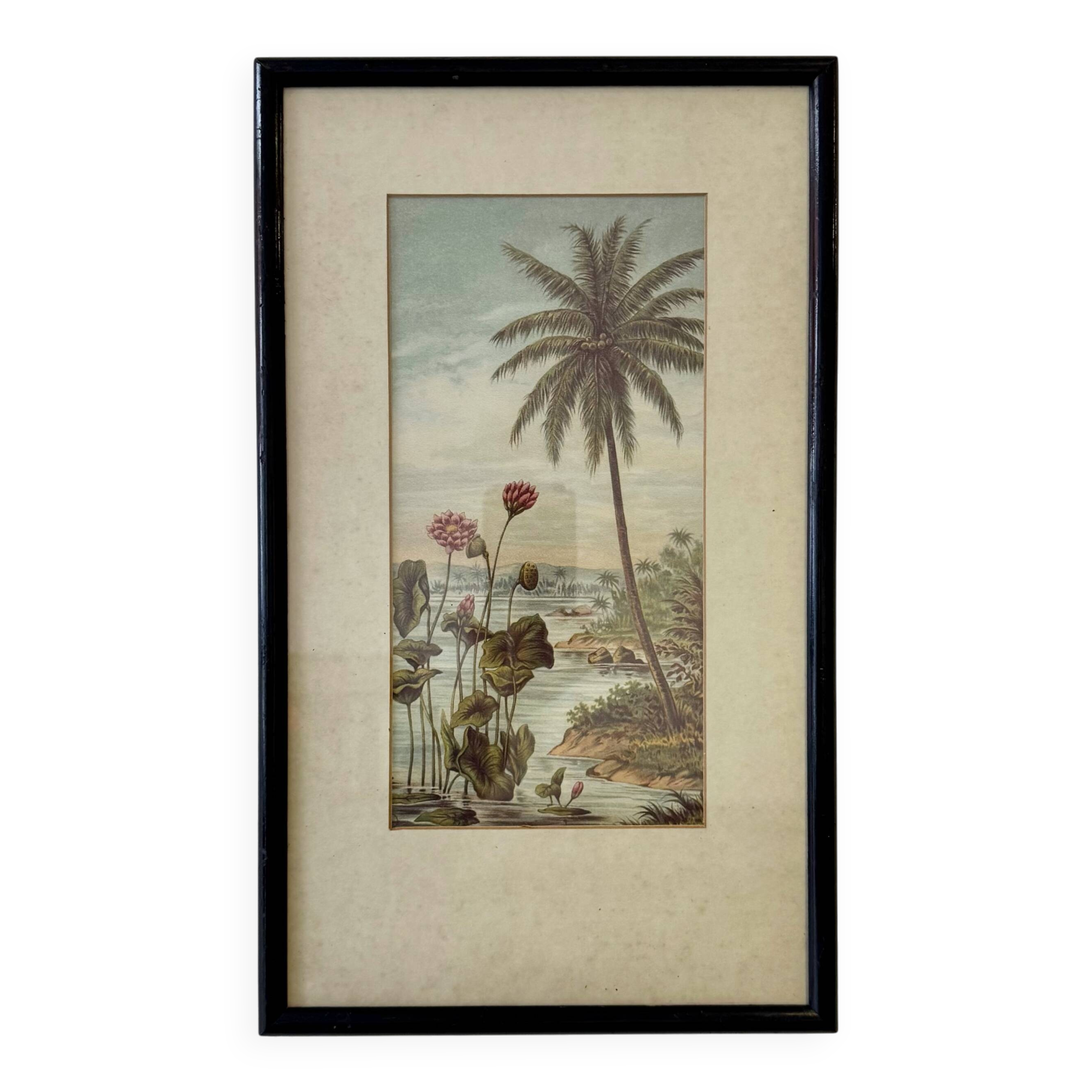 Vintage Print of Lotus Flower and Palm Tree Black Frame
