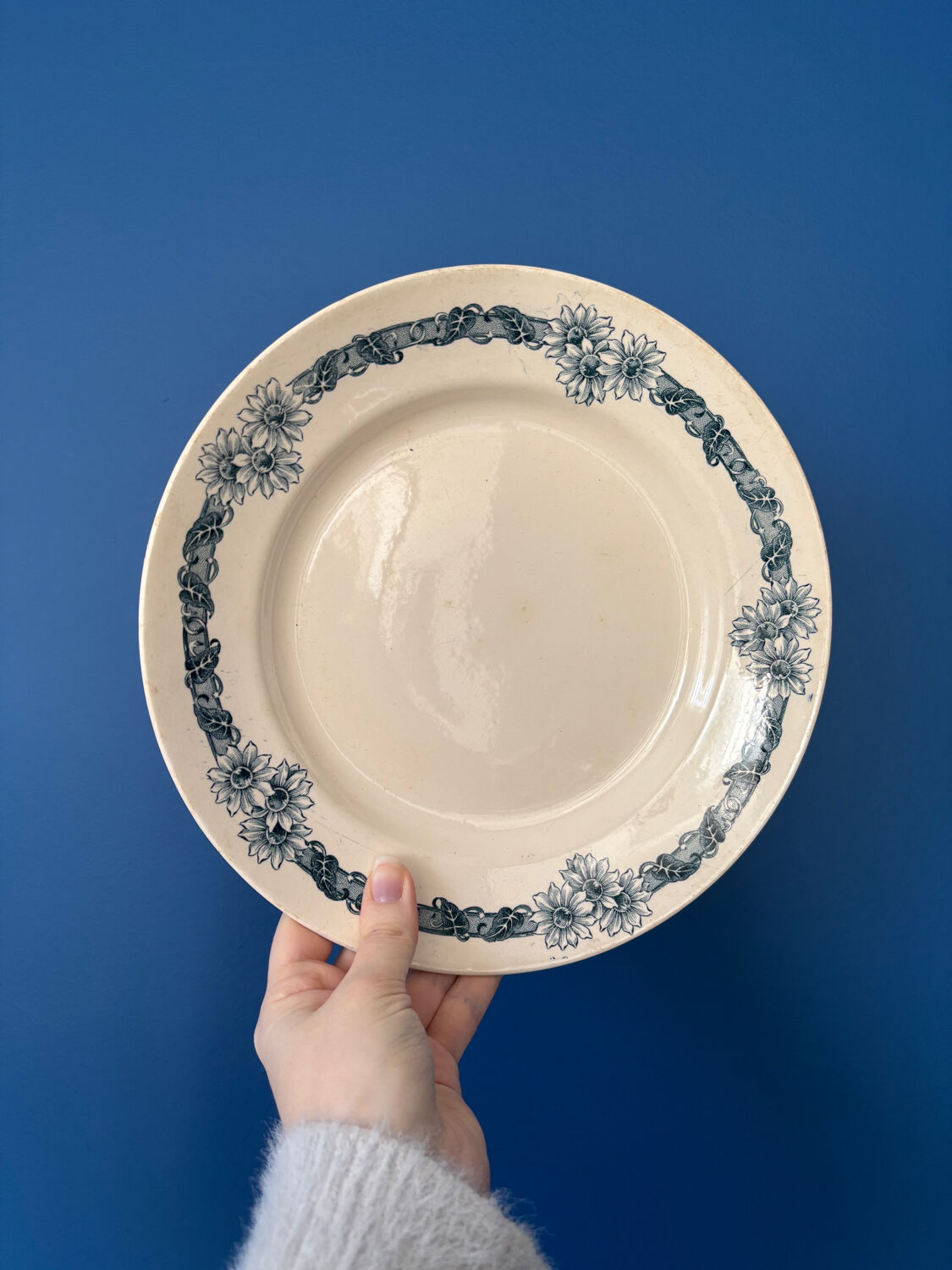 Set of 8 flat plates in Longchamp ironstone model Denise.