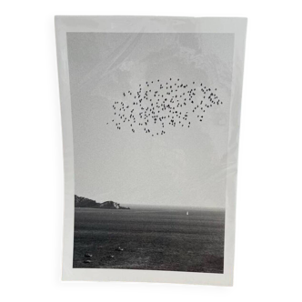 The flight