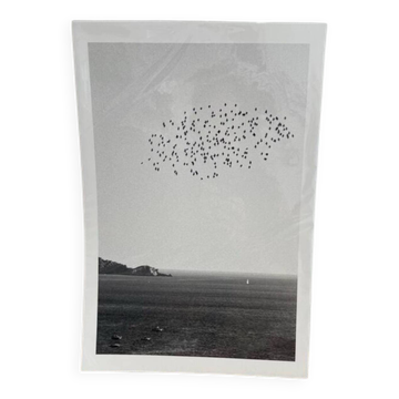 The flight