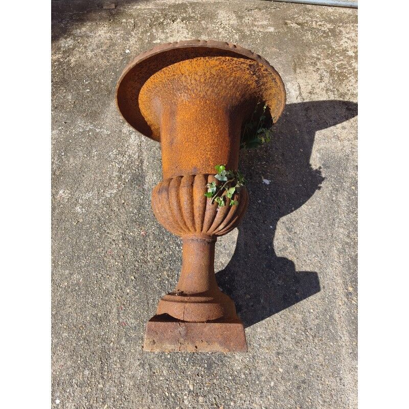 Pair of 19th-century cast iron Medici vases