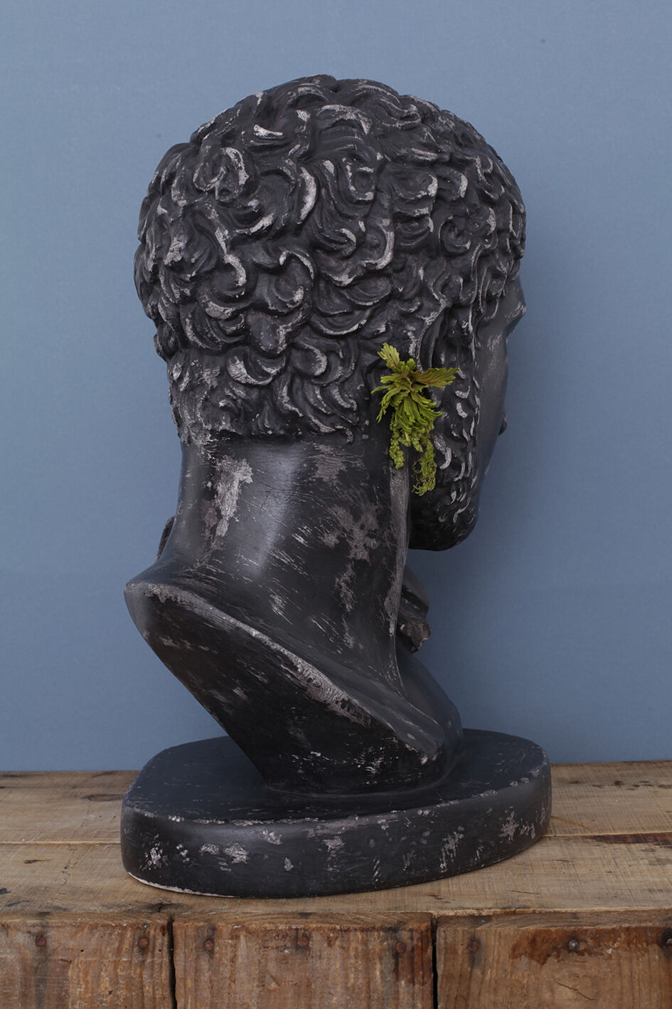 Greek head in waxed black plaster
