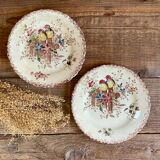 2 small Terre de fer “birds” plates