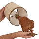 Lampe de chevet en bois d'orme forme libre années 60