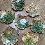 Cabbage plate